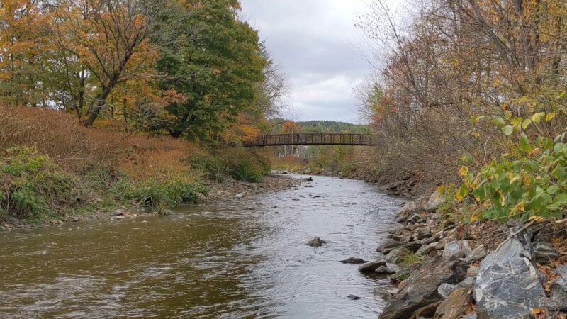Thompson Park - Stowe, VT