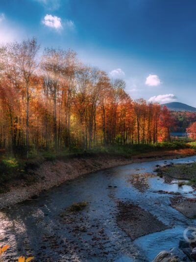 Thompson Park - Stowe, VT
