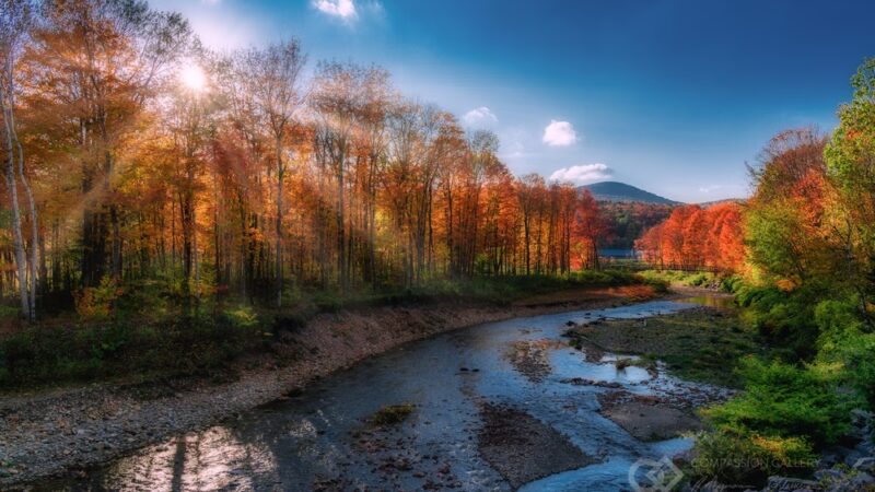 Thompson Park - Stowe, VT