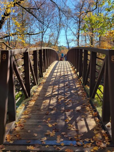 Thompson Park - Stowe, VT