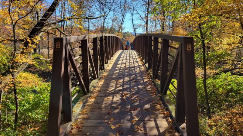 Thompson Park - Stowe, VT