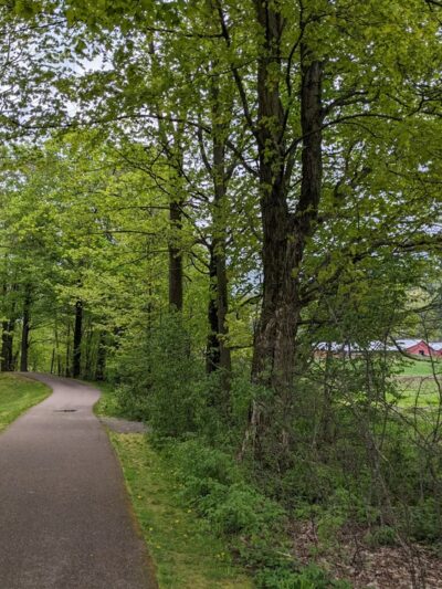 Thompson Park - Stowe, VT