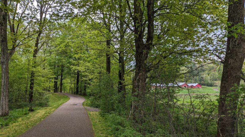 Thompson Park - Stowe, VT