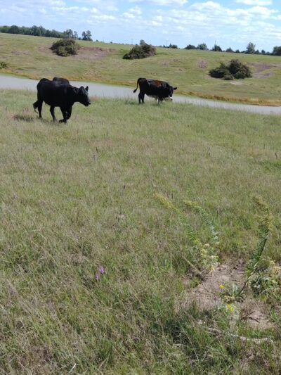 Strang City Park - Strang, NE