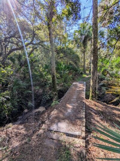 Halpatiokee MTB Trail - Stuart, FL