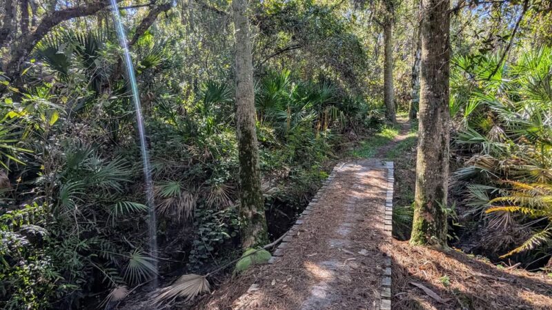 Halpatiokee MTB Trail - Stuart, FL