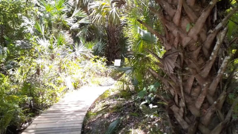 Halpatiokee MTB Trail - Stuart, FL