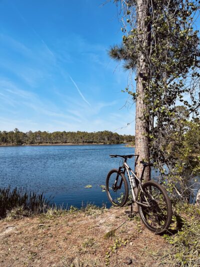 Halpatiokee MTB Trail - Stuart, FL