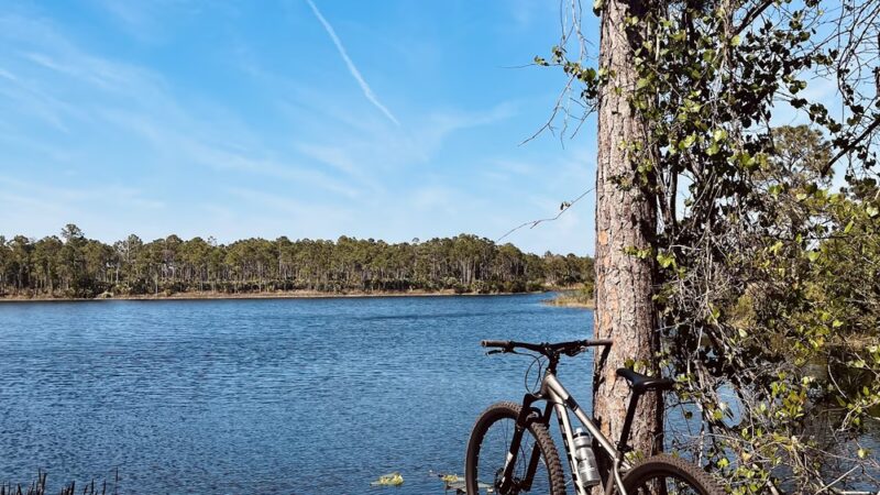 Halpatiokee MTB Trail - Stuart, FL