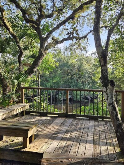 Halpatiokee MTB Trail - Stuart, FL