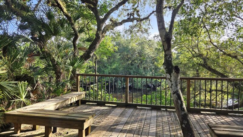 Halpatiokee MTB Trail - Stuart, FL