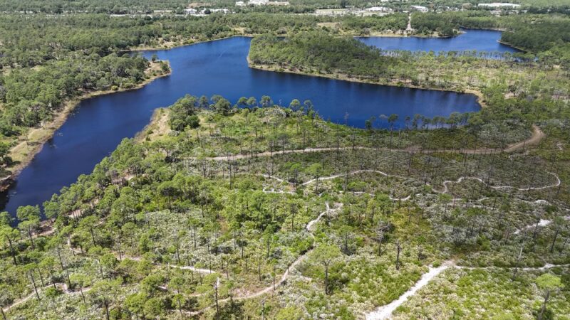 Halpatiokee MTB Trail - Stuart, FL