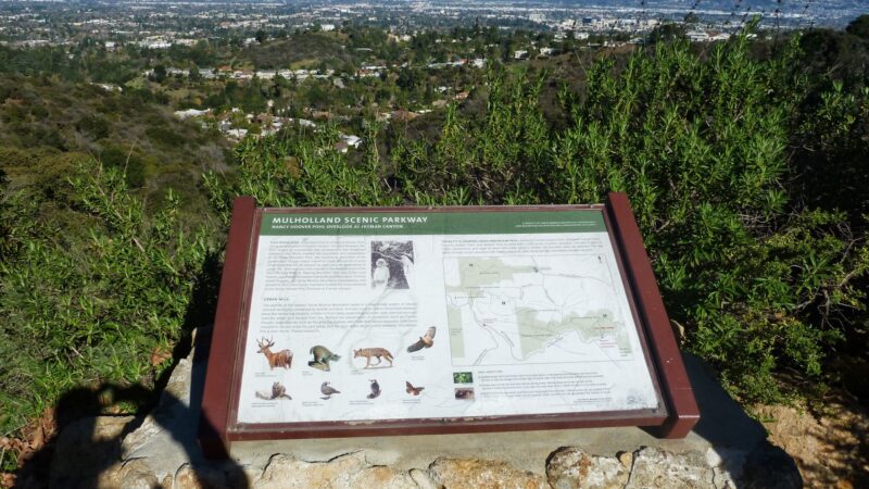 Fryman Canyon Park - Studio City, CA