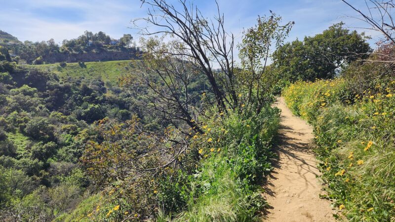 Fryman Canyon Park - Studio City, CA