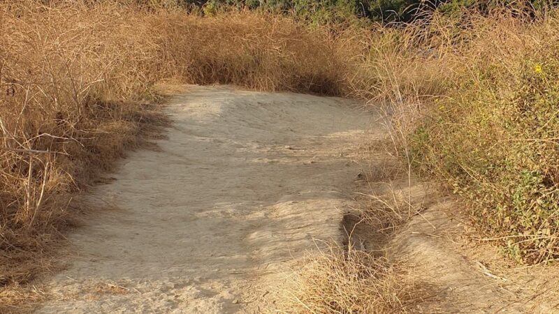 Fryman Hiking Trail Parking - Studio City, CA