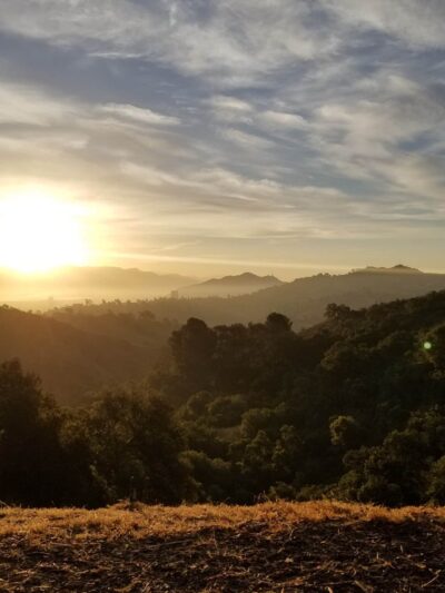 Wilacre Park, Mountains Recreation & Conservation Authority - Studio City, CA