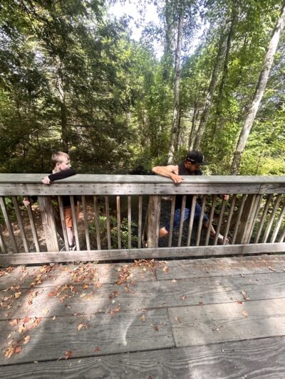 Arbutus Park Trail - Sturbridge, MA