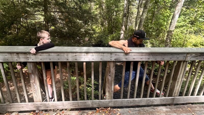 Arbutus Park Trail - Sturbridge, MA