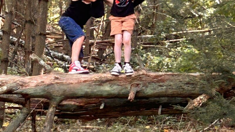 Arbutus Park Trail - Sturbridge, MA