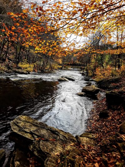 Grand Trunk Trail - Sturbridge, MA