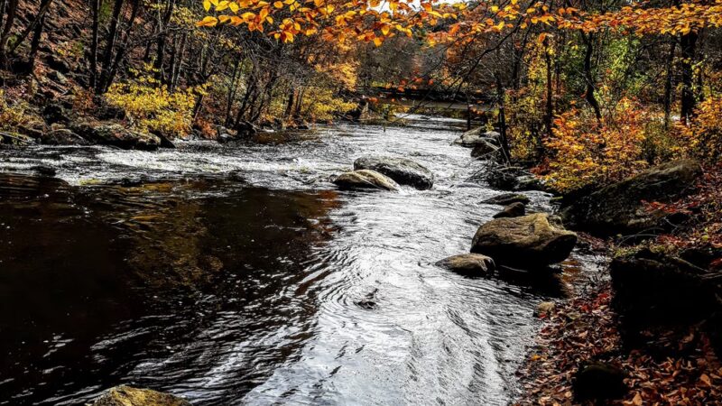 Grand Trunk Trail - Sturbridge, MA