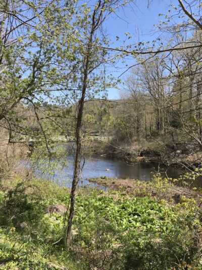 Grand Trunk Trail - Sturbridge, MA