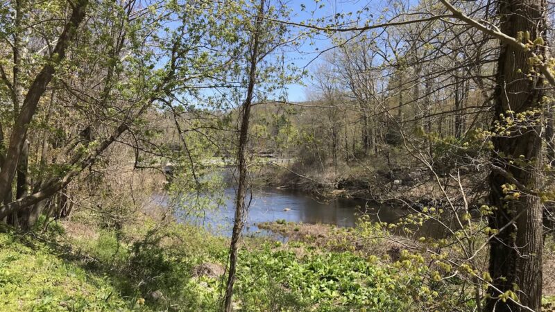 Grand Trunk Trail - Sturbridge, MA