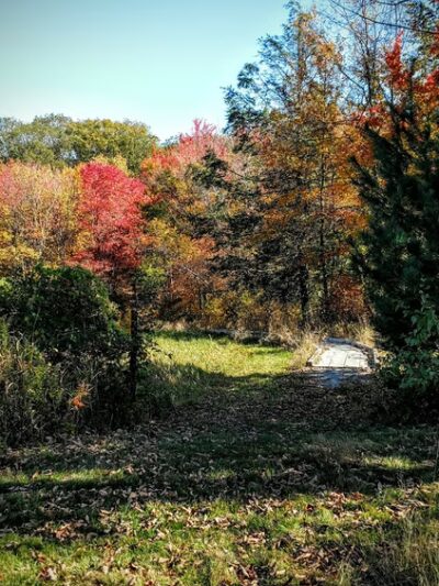 Heins Farm Trail - Sturbridge, MA