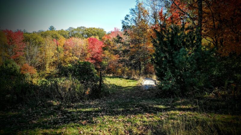 Heins Farm Trail - Sturbridge, MA