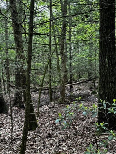 Heins Farm Trail - Sturbridge, MA