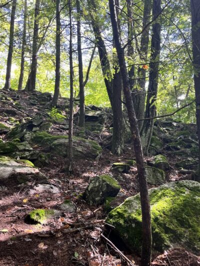 Leadmine Mountain Trail - Sturbridge, MA