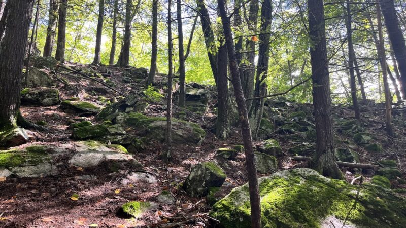 Leadmine Mountain Trail - Sturbridge, MA