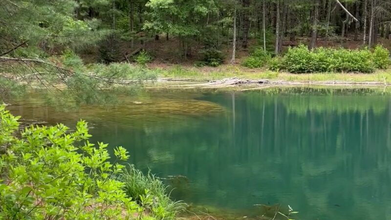 Leadmine Mountain Trail - Sturbridge, MA