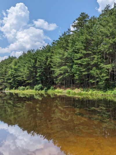 Leadmine Mountain Trail - Sturbridge, MA