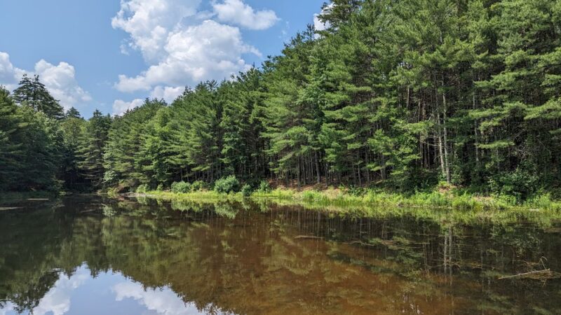 Leadmine Mountain Trail - Sturbridge, MA