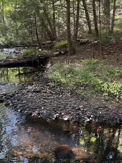 Leadmine Mountain Trail - Sturbridge, MA