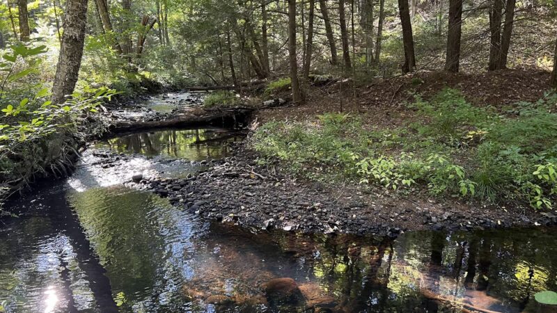 Leadmine Mountain Trail - Sturbridge, MA