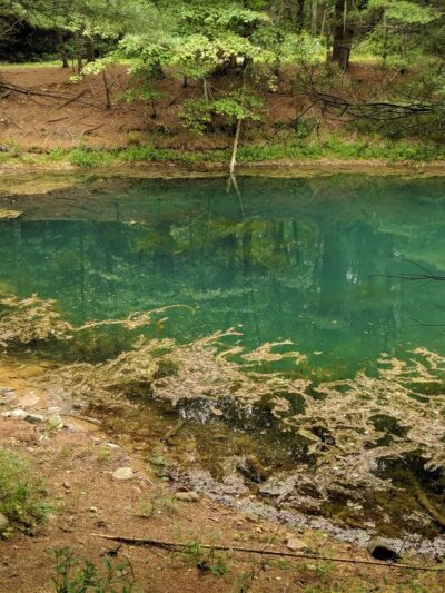 Leadmine Mountain Trail - Sturbridge, MA