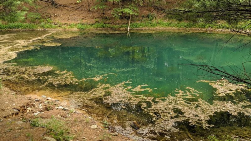 Leadmine Mountain Trail - Sturbridge, MA