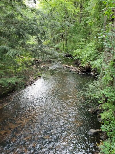 Leadmine Mountain Trail (Main Entrance) - Sturbridge, MA