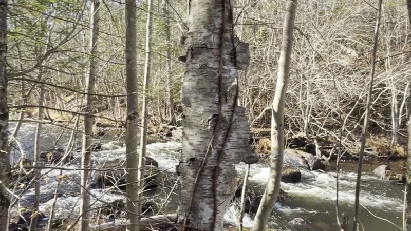 Old Trolley Line Walking Trail - Sturbridge, MA