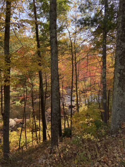Old Trolley Line Walking Trail - Sturbridge, MA