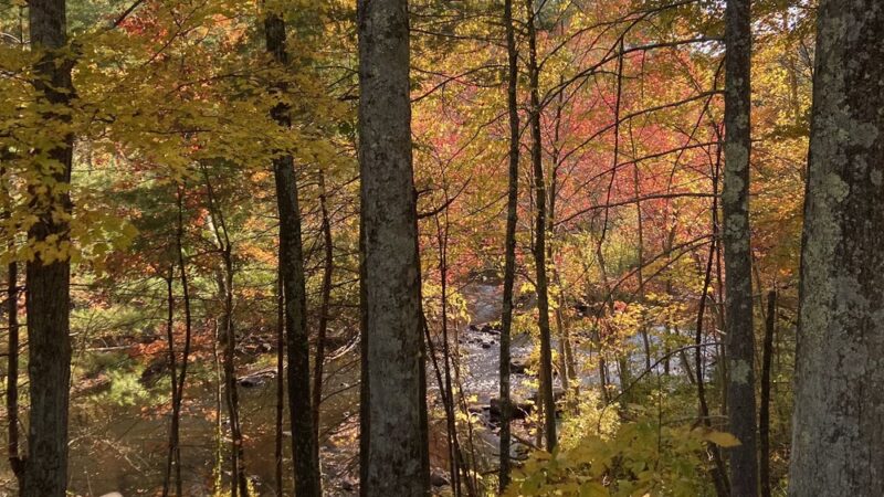 Old Trolley Line Walking Trail - Sturbridge, MA