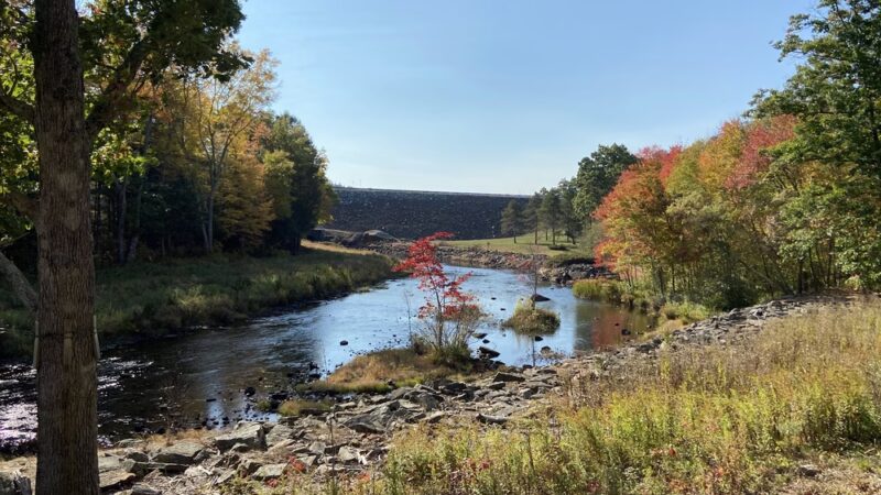 Old Trolley Line Walking Trail - Sturbridge, MA
