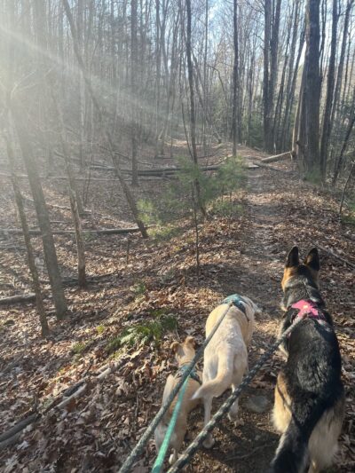 Old Trolley Line Walking Trail - Sturbridge, MA