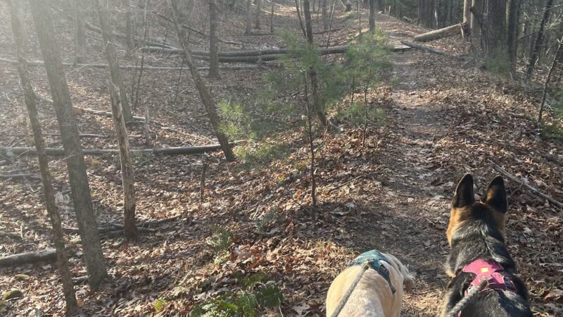 Old Trolley Line Walking Trail - Sturbridge, MA