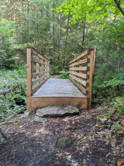 Opacum Woods - Sturbridge, MA