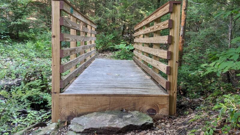 Opacum Woods - Sturbridge, MA