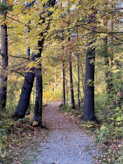Sturbridge Mill Pond Trail - Sturbridge, MA