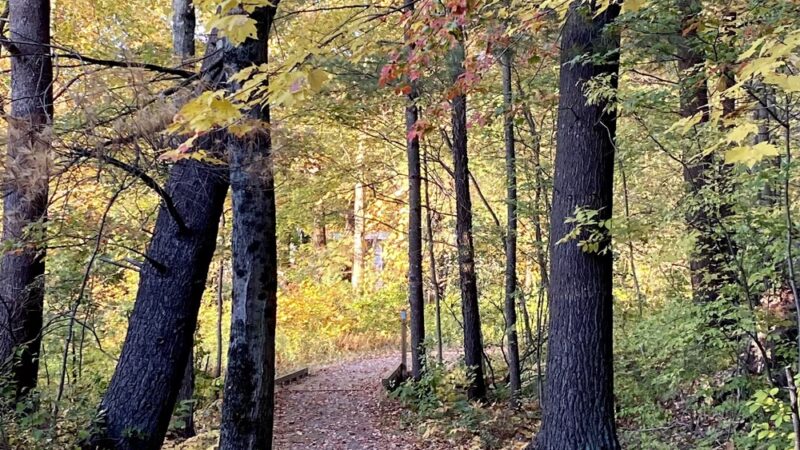 Sturbridge Mill Pond Trail - Sturbridge, MA